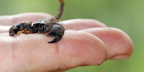 228499_10150171533552672_3391689_n