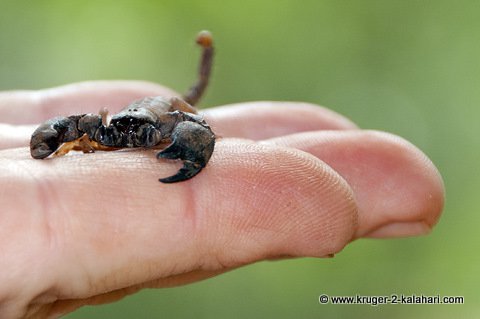 228499_10150171533552672_3391689_n