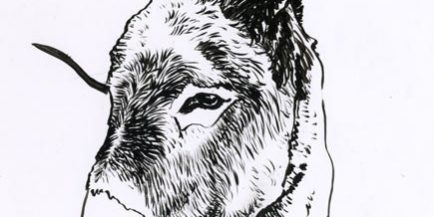 24666_376872577671_7579663_n