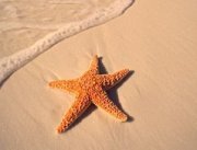 32058_387519807671_5083380_n