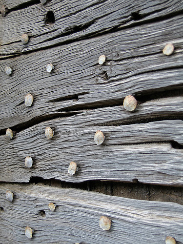 37497_409877567671_2125917_n