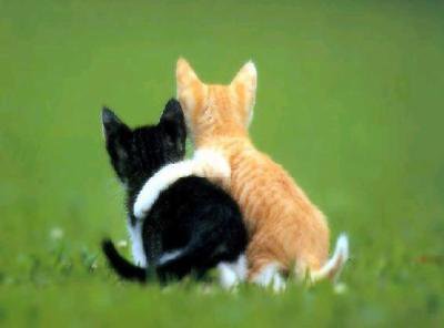 47841_420952662671_381945_n