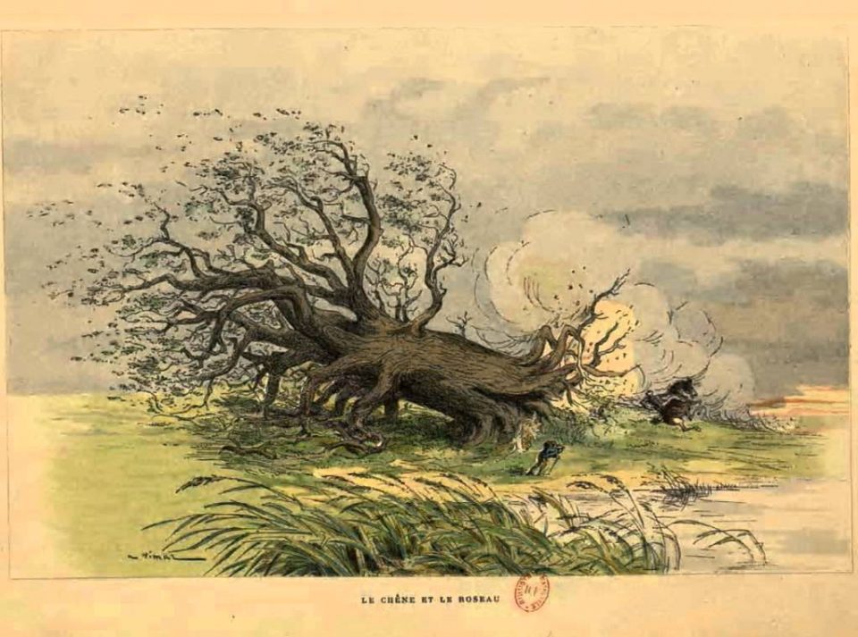 Le Chêne et le Roseau